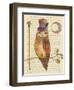 Steampunk Owl II-Elyse DeNeige-Framed Art Print