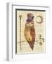 Steampunk Owl II-Elyse DeNeige-Framed Art Print