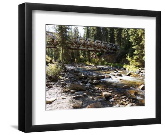 Premium Photographic Print, , large