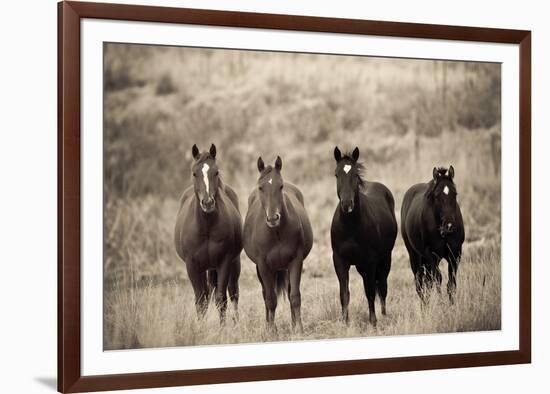 Steed Study-Russell Young-Framed Giclee Print