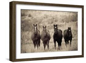 Steed Study-Russell Young-Framed Giclee Print