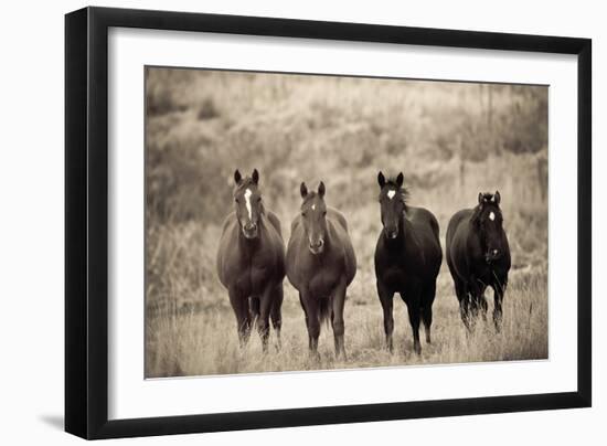 Steed Study-Russell Young-Framed Giclee Print