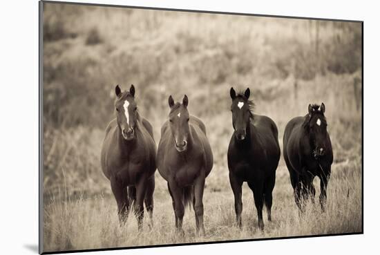 Steed Study-Russell Young-Mounted Giclee Print