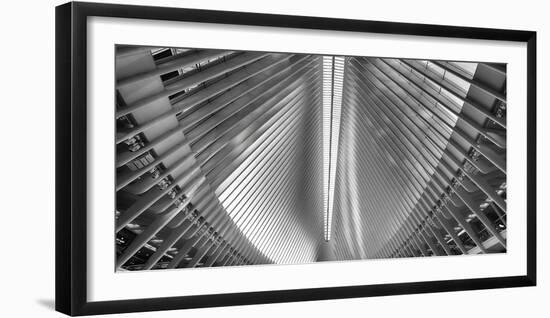 Steel Beam Feathers of Oculus, Manhattan, New York-George Oze-Framed Photographic Print
