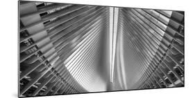 Steel Beam Feathers of Oculus, Manhattan, New York-George Oze-Mounted Photographic Print
