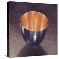 Steel Bowl, 2005-Lincoln Seligman-Stretched Canvas