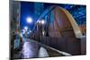 Steel Bridge Chicago-Steve Gadomski-Mounted Photographic Print