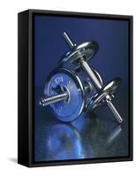 Steel Dumbbells for Workout-null-Framed Stretched Canvas