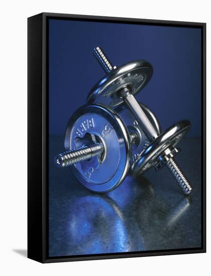 Steel Dumbbells for Workout-null-Framed Stretched Canvas