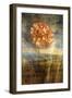 Steel Flower 4-Thea Schrack-Framed Giclee Print