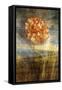 Steel Flower 4-Thea Schrack-Framed Stretched Canvas