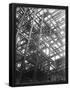 Essential Black