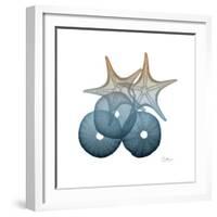 Steel Hues Sea Urchin and Starfish-Albert Koetsier-Framed Art Print