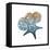 Steel Hues Starfish and Sand Dollar-Albert Koetsier-Framed Stretched Canvas