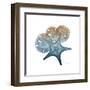 Steel Hues Starfish and Sand Dollar-Albert Koetsier-Framed Art Print