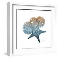 Steel Hues Starfish and Sand Dollar-Albert Koetsier-Framed Art Print