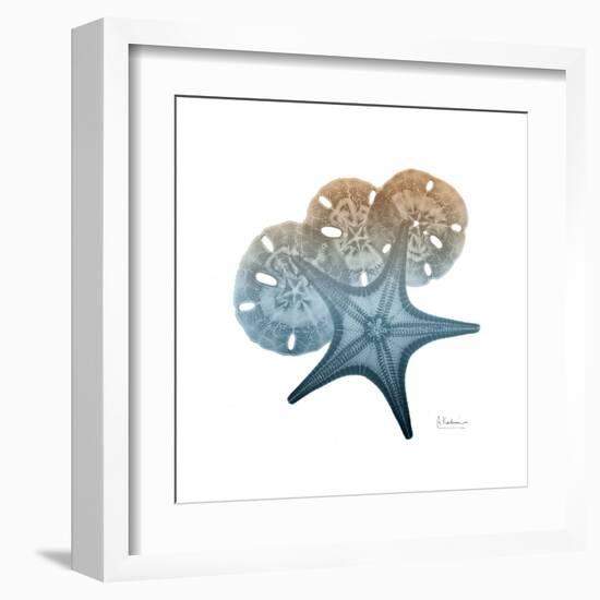 Steel Hues Starfish and Sand Dollar-Albert Koetsier-Framed Art Print