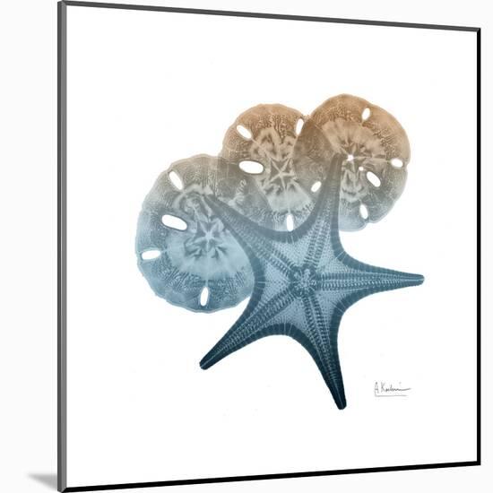 Steel Hues Starfish and Sand Dollar-Albert Koetsier-Mounted Art Print