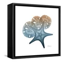 Steel Hues Starfish and Sand Dollar-Albert Koetsier-Framed Stretched Canvas