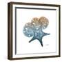 Steel Hues Starfish and Sand Dollar-Albert Koetsier-Framed Art Print