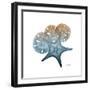 Steel Hues Starfish and Sand Dollar-Albert Koetsier-Framed Art Print