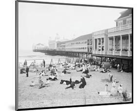 Steel Pier, Atlantic City, NJ, c. 1904-Vintage Photography-Mounted Art Print