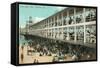 Steel Pier, Atlantic City-null-Framed Stretched Canvas