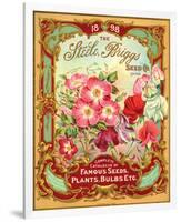 Steele Briggs Seed Catalogue-null-Framed Premium Giclee Print