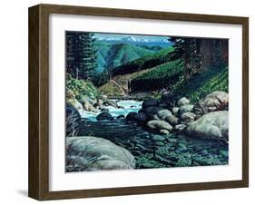 Steelhead-Jack Dumas-Framed Giclee Print