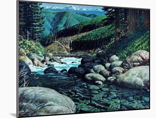 Steelhead-Jack Dumas-Mounted Giclee Print