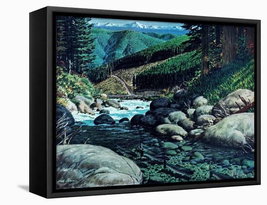 Steelhead-Jack Dumas-Framed Stretched Canvas