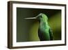 Steely Vented-Larry Malvin-Framed Photographic Print