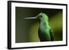 Steely Vented-Larry Malvin-Framed Photographic Print