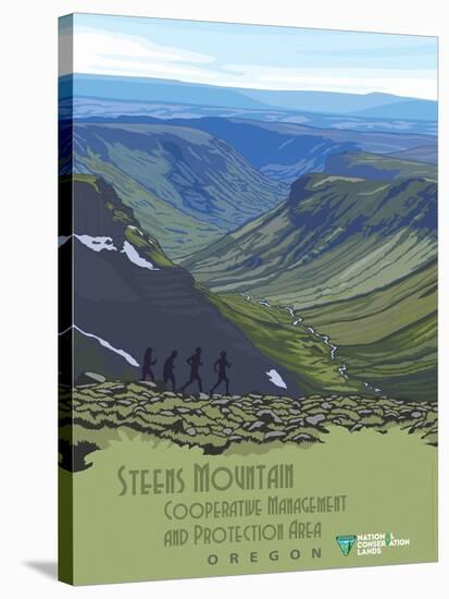 Steens Mountain Cooperative Management And Protection Area-Bureau of Land Management-Stretched Canvas