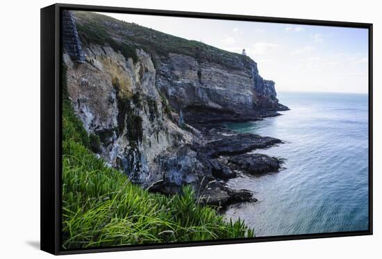 Steep Cliffs at Taiaroa Head, Otago Peninsula, South Island, New Zealand, Pacific-Michael Runkel-Framed Stretched Canvas