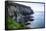 Steep Cliffs at Taiaroa Head, Otago Peninsula, South Island, New Zealand, Pacific-Michael Runkel-Framed Stretched Canvas
