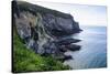 Steep Cliffs at Taiaroa Head, Otago Peninsula, South Island, New Zealand, Pacific-Michael Runkel-Stretched Canvas