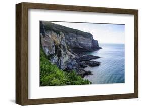 Steep Cliffs at Taiaroa Head, Otago Peninsula, South Island, New Zealand, Pacific-Michael Runkel-Framed Photographic Print