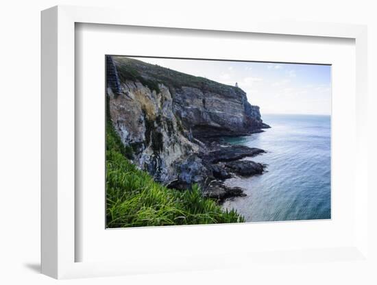 Steep Cliffs at Taiaroa Head, Otago Peninsula, South Island, New Zealand, Pacific-Michael Runkel-Framed Photographic Print