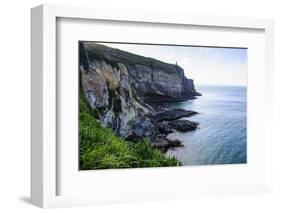 Steep Cliffs at Taiaroa Head, Otago Peninsula, South Island, New Zealand, Pacific-Michael Runkel-Framed Photographic Print