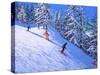 Steep slope,Les Arcs,France-Andrew Macara-Stretched Canvas