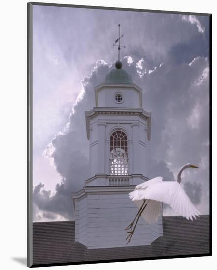 Steeple Flyby-Steve Hunziker-Mounted Art Print