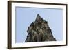 Steeple of the Nikolaikirche, St Nikolai, Hamburg-Mitte, Hanseatic City of Hamburg, Germany-Axel Schmies-Framed Photographic Print