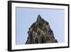 Steeple of the Nikolaikirche, St Nikolai, Hamburg-Mitte, Hanseatic City of Hamburg, Germany-Axel Schmies-Framed Photographic Print