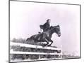 Wood Mount