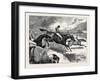 Steeplechasing: the Last Brook-null-Framed Giclee Print