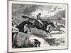 Steeplechasing: the Last Brook-null-Mounted Giclee Print