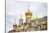 Steeples of Annunciation Cathedral, The Kremlin, Moscow, Moscow Oblast, Russia-Ben Pipe-Stretched Canvas