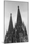 Steeples on the Cologne Cathedral-Owen Franken-Mounted Photographic Print