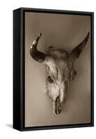 Steer Skull-Kathy Mahan-Framed Stretched Canvas